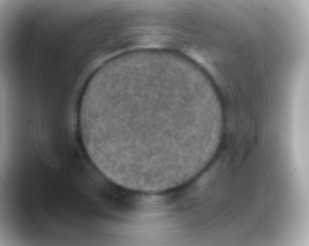 X0000088151459200706042019