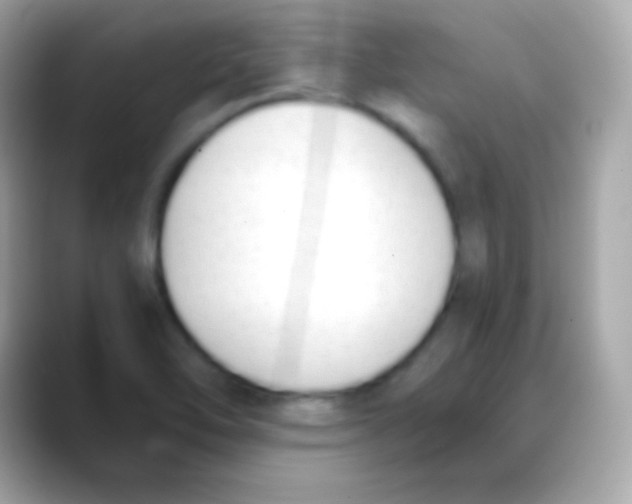 X0000088151462200706042019