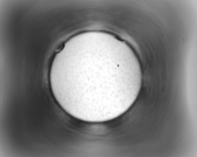 X0000088151464200706042019