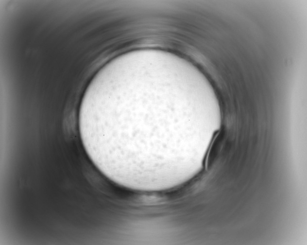 X0000088151465200706042019