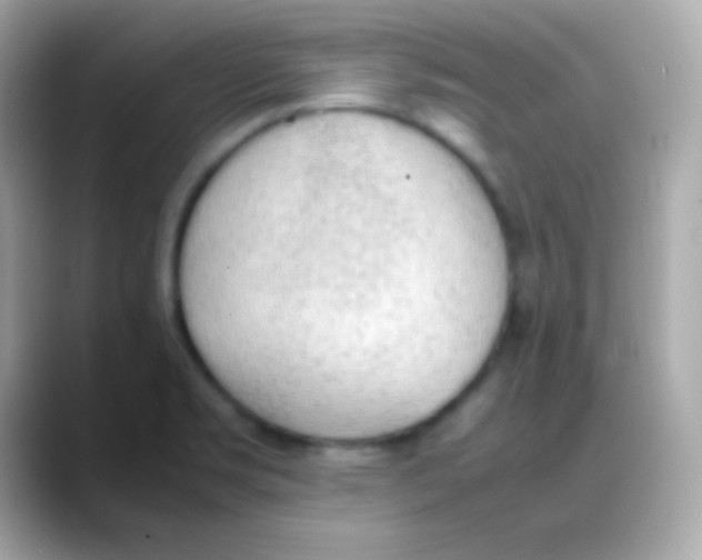 X0000088151469200706042019