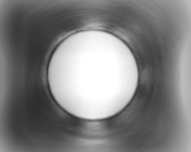 X0000088151470200706042019