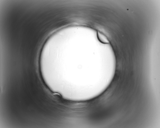 X0000088151471200706042019