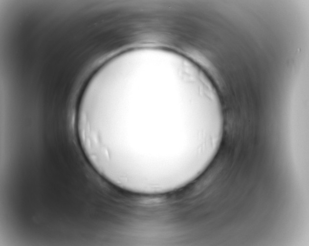 X0000088151472200706042019