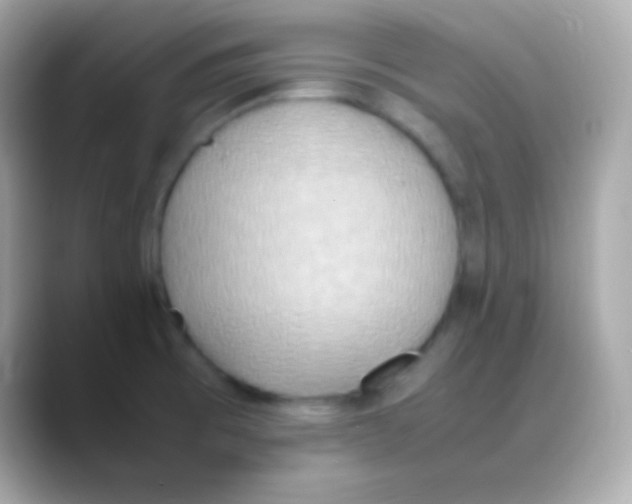 X0000088151473200706042019