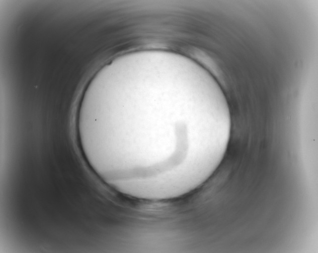 X0000088151475200706042019