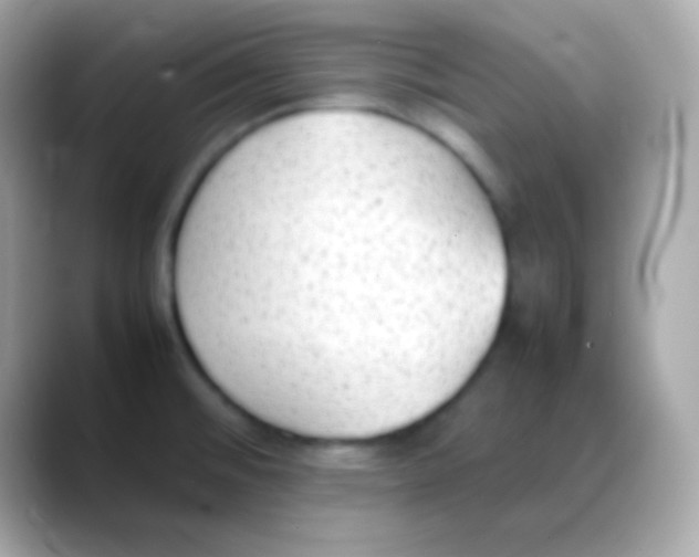 X0000088151476200706042019