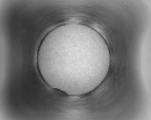 X0000088151477200706042019