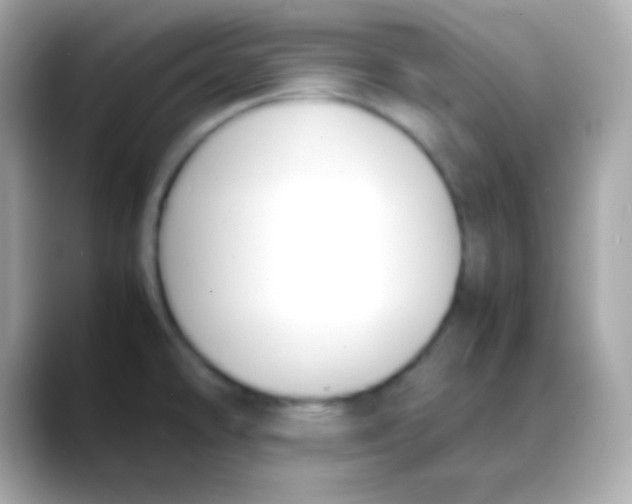 X0000088151478200706042019