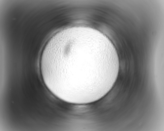 X0000088151482200706042019