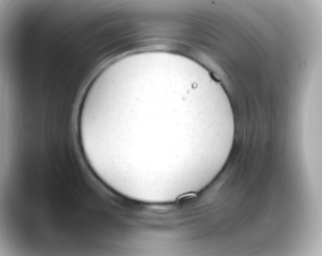 X0000088151483200706042019