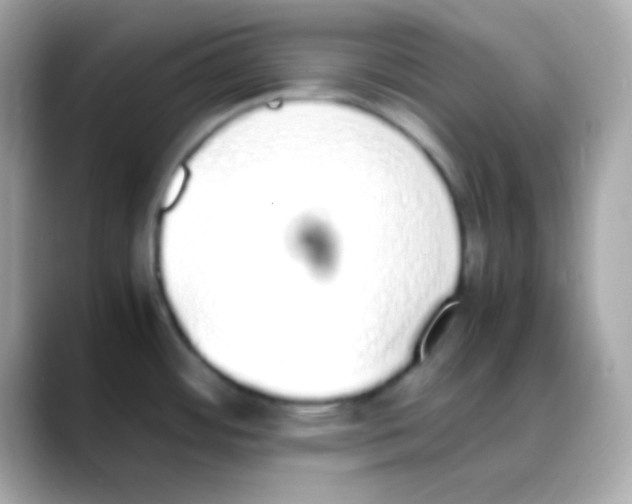 X0000088151484200706042019