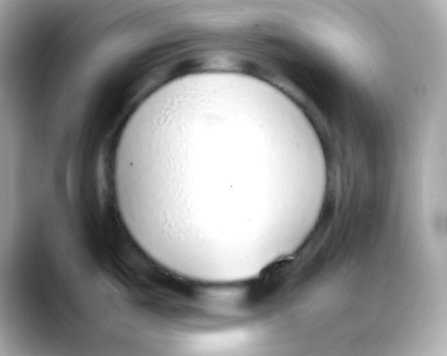 X0000088151487200706042019