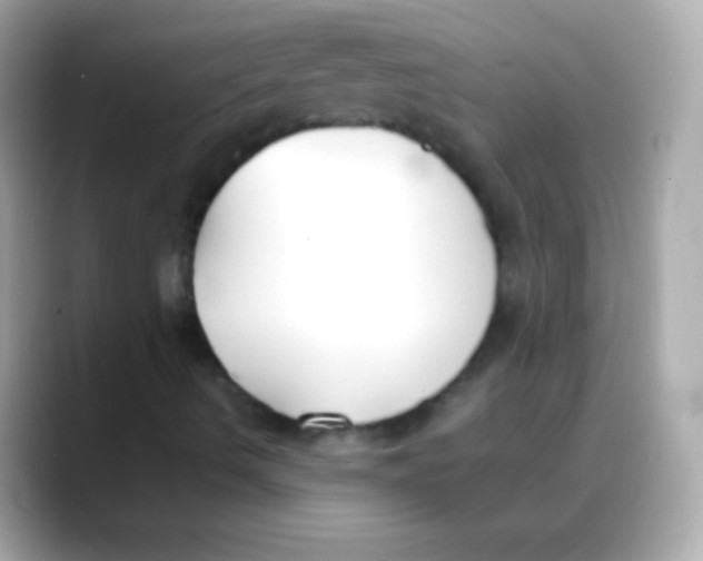 X0000088151490200706042018