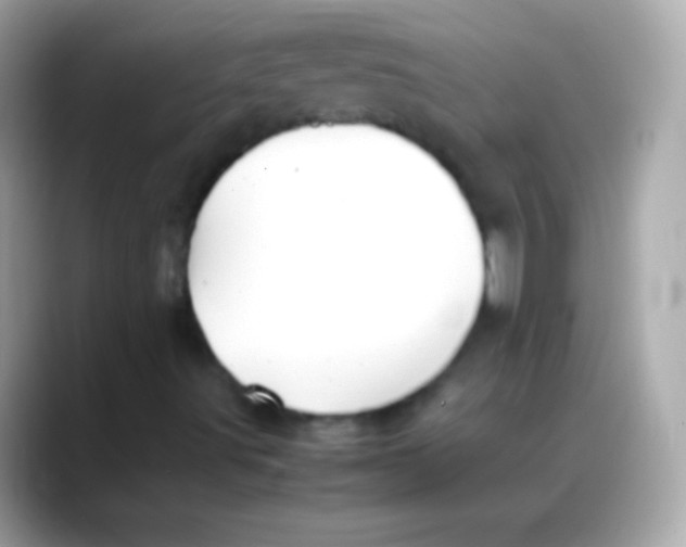 X0000088151491200706042018