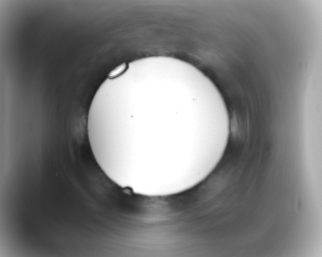 X0000088151492200706042018