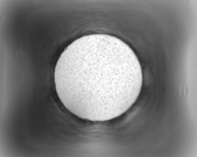 X0000088151494200706042018