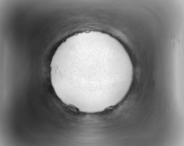 X0000088151496200706042018