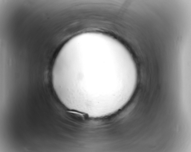 X0000088151497200706042018