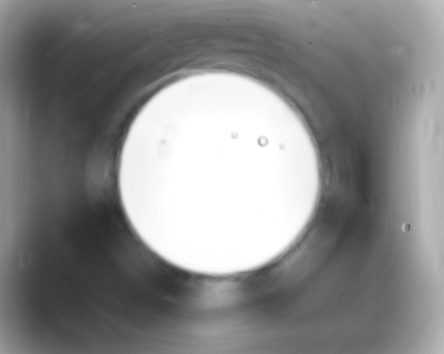 X0000088151498200706042018