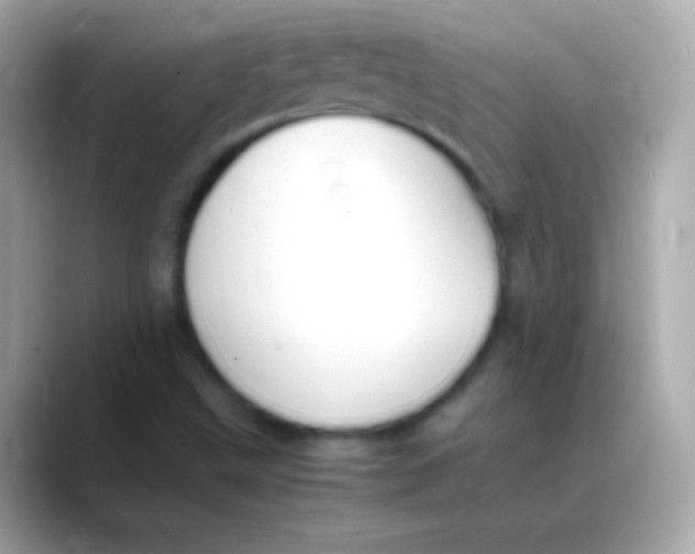 X0000088151499200706042018