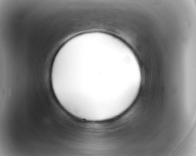 X0000088151500200706042018