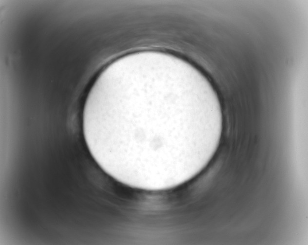 X0000088151501200706042018