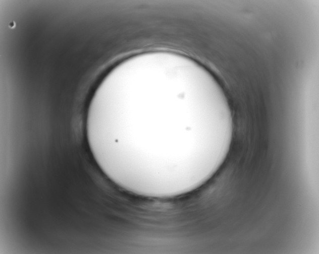 X0000088151503200706042018