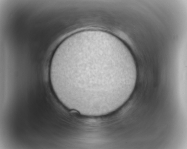 X0000088151504200706042018