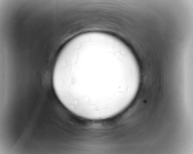 X0000088151505200706042018