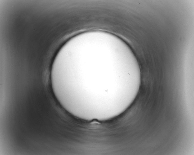 X0000088151507200706042018