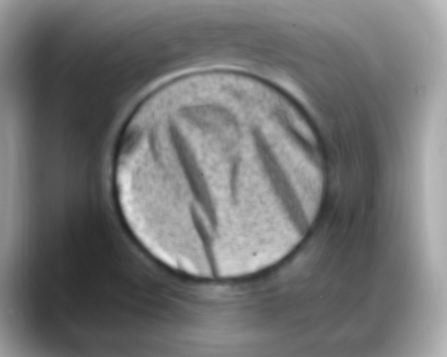 X0000088151508200706042018