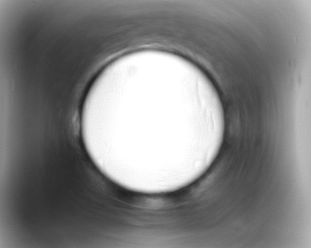 X0000088151509200706042018