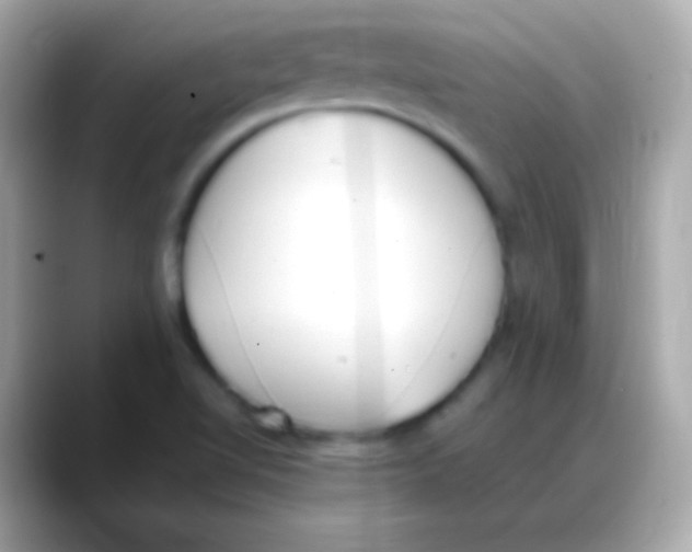 X0000088151510200706042018