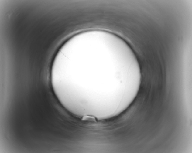 X0000088151511200706042018