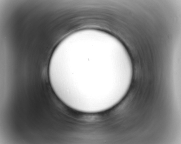 X0000088151513200706042019