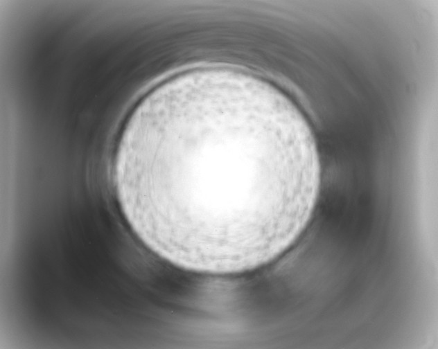 X0000088151514200706042019