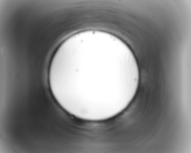 X0000088151517200706042019