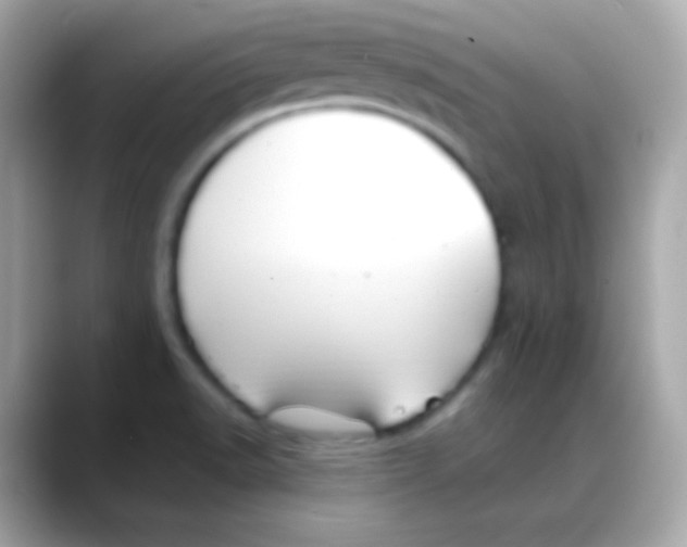 X0000088151518200706042019