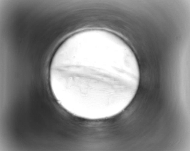 X0000088151519200706042019