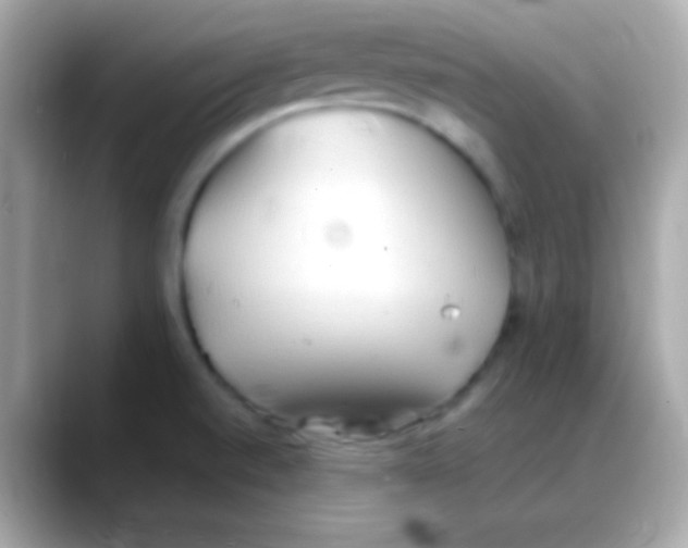 X0000088151520200706042019