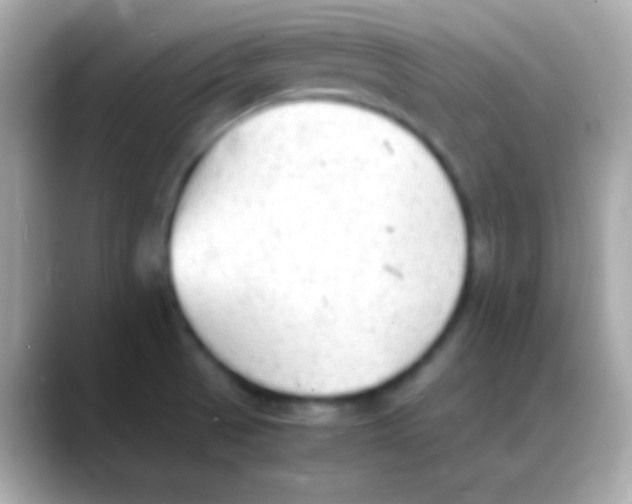 X0000088151521200706042019