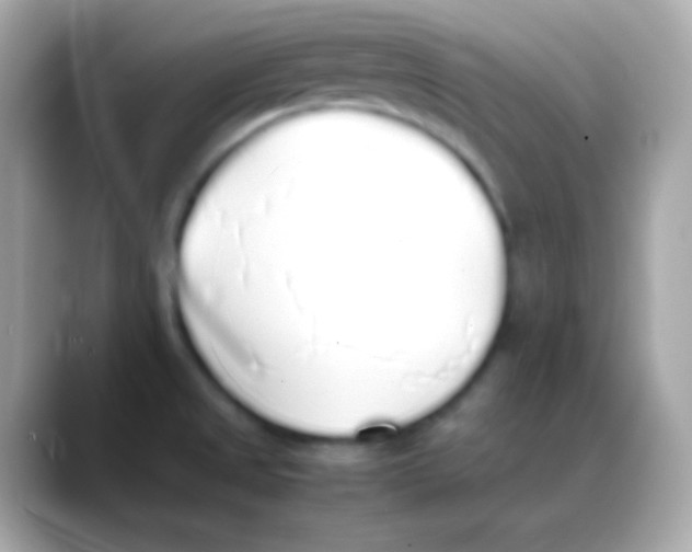 X0000088151525200706042019