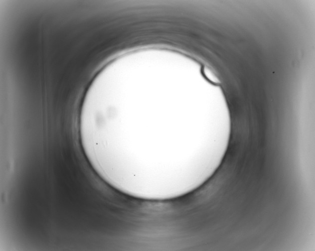 X0000088151526200706042019