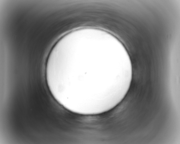 X0000088151527200706042019