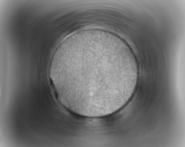 X0000088151529200706042019