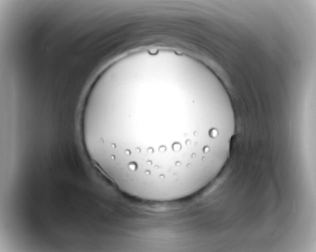 X0000088151530200706042019