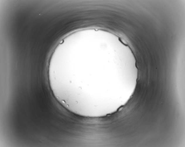 X0000088151532200706042019