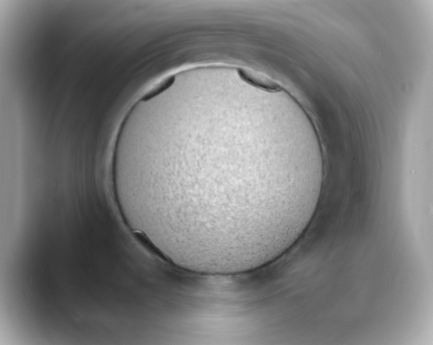 X0000088151536200706042019