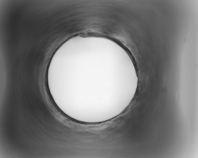 X0000088150001200706111452